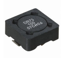 Immagine DR73-100-R.