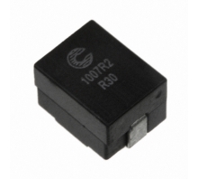 Immagine FP1007R2-R30-R.