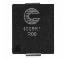 Immagine FP1006R1-R08-R.