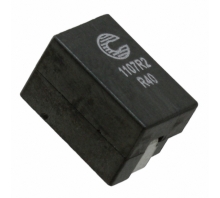 Immagine FP1107R2-R40-R.