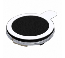 Immagine AS01708MR-SC-R.