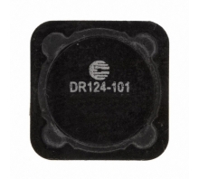 Immagine DR124-101-R.