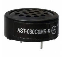 Immagine AST-030C0MR-R.