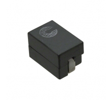 Immagine FP1107R1-R40-R.